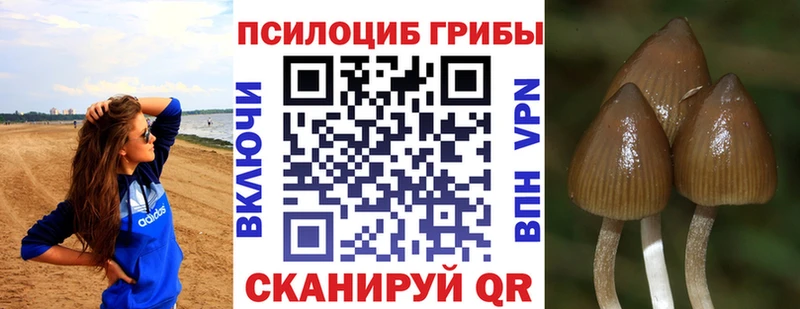 Галлюциногенные грибы Psilocybine cubensis  KRAKEN ТОР  даркнет Telegram  Горячеводский 
