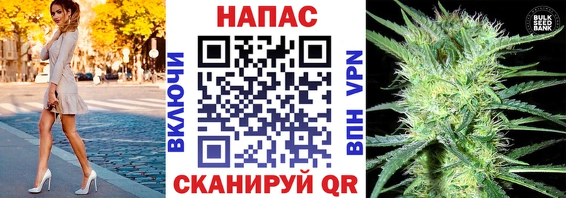 Каннабис план Горячеводский